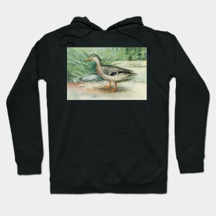 Mallard Duck Digitally Enhanced Hoodie